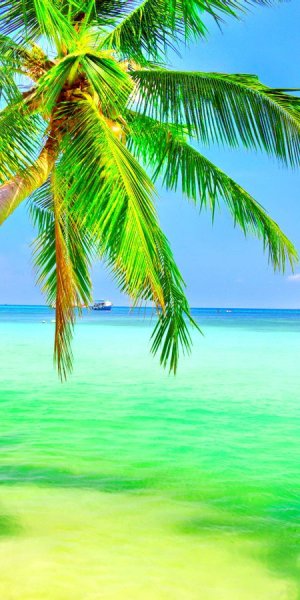 Парадиз остров Карибского моря