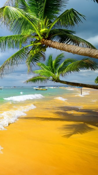 Фотообои Komar пляж