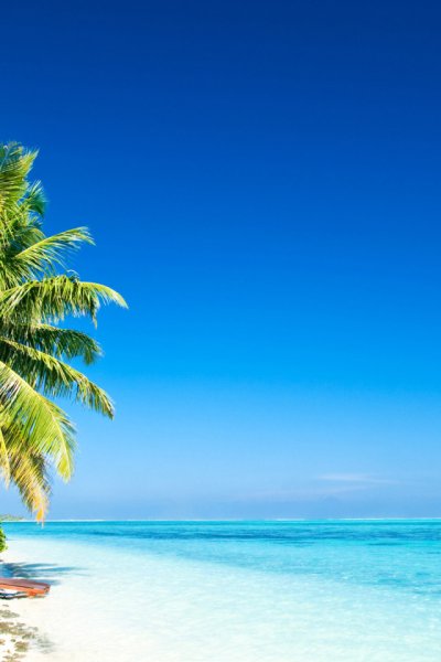 Пальмы и океан