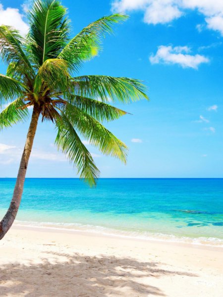 Морской пляж