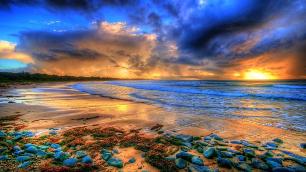 Морская звезда на берегу моря