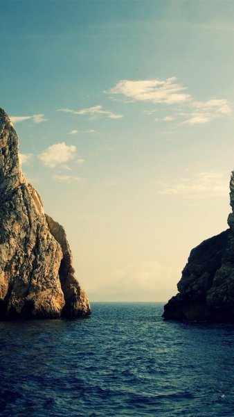 Море пальмы