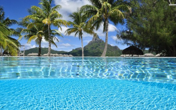 Океан пальмы закат