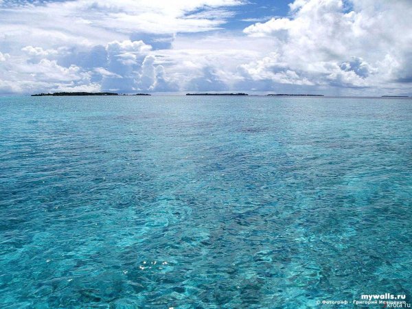 Черное море Анапа