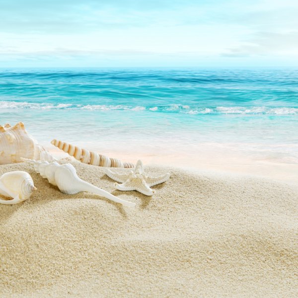 Хорошего дня море