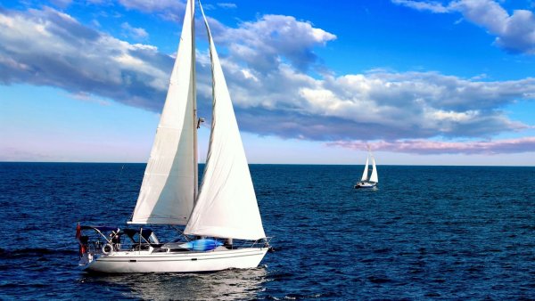 Парусные яхты