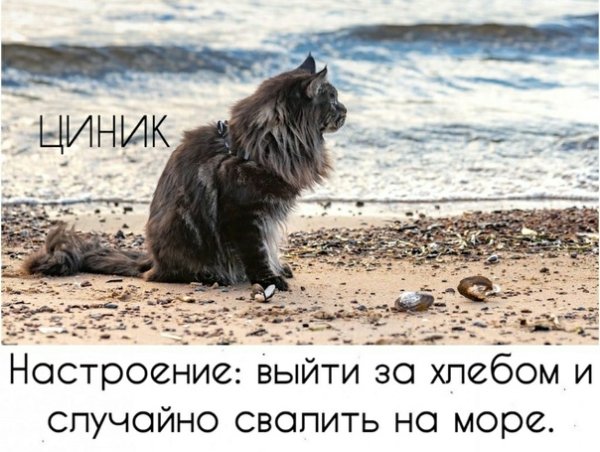 Настроение выйти за хлебом и случайно уехать на море