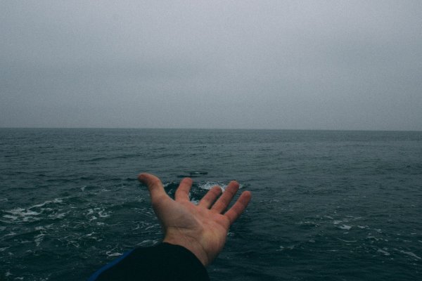 Сердце человека очень похоже на море