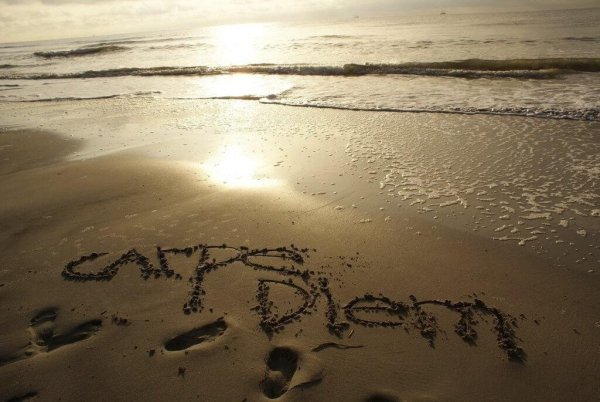 Carpe Diem