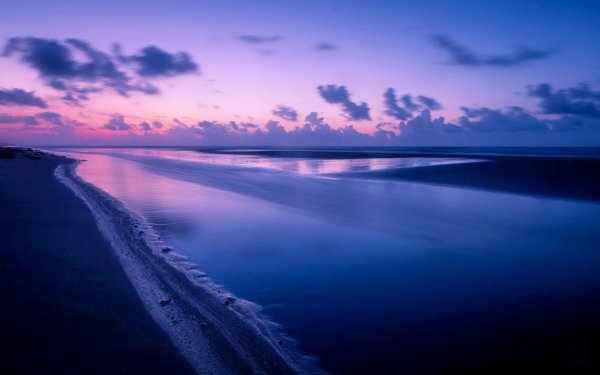 Морская Ракушка Витязево