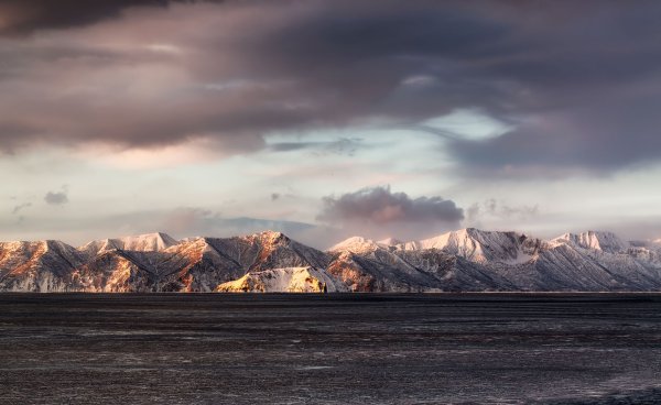 Камчатка Берингово море