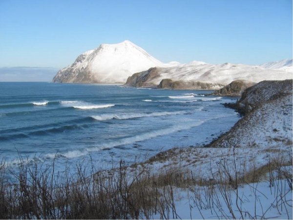 Остров Беринга. Берингово море.