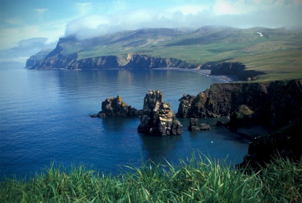 Острова Берингова моря