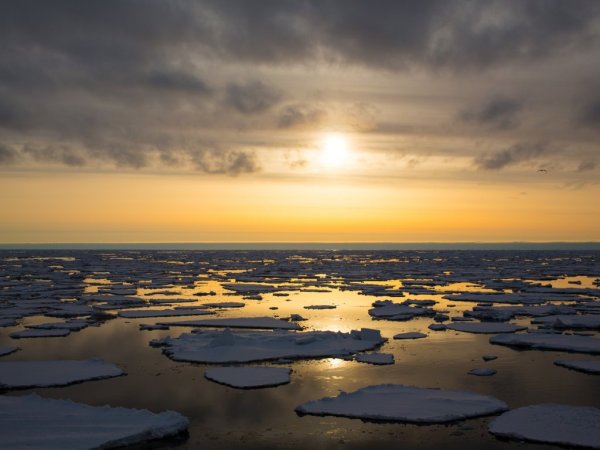 Берингово море Россия