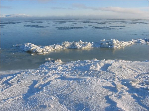 Берингово море зимой