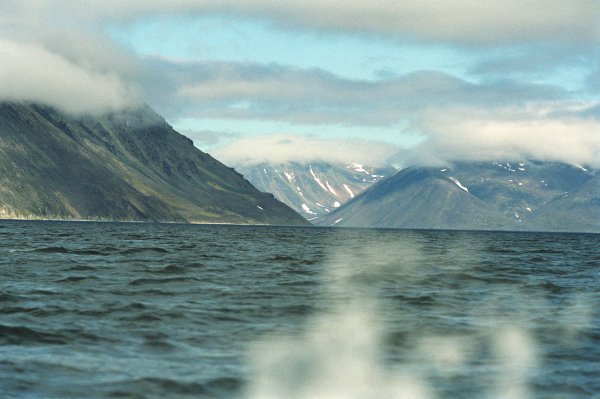 Камчатка Берингово море