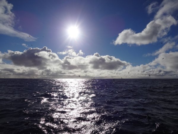 Берингово море