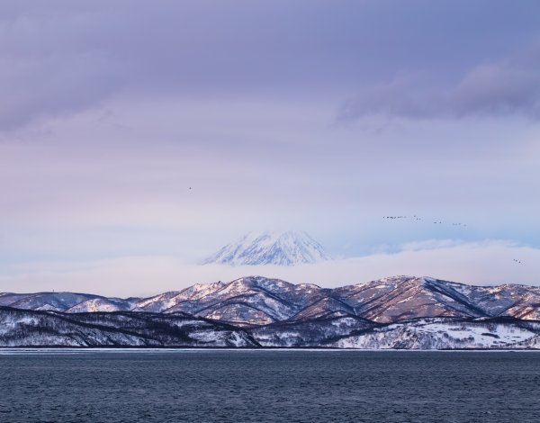 Бристольский залив (Берингово море)