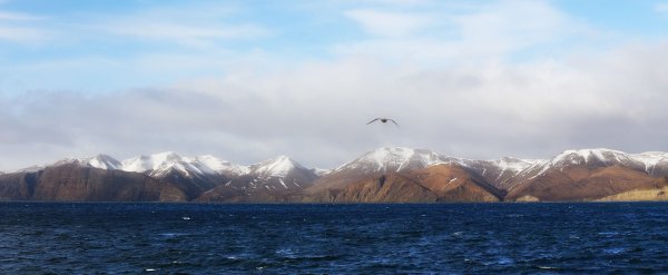 Камчатка Карагинский залив