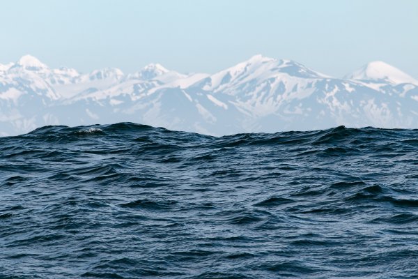 Бериногово моря каматка