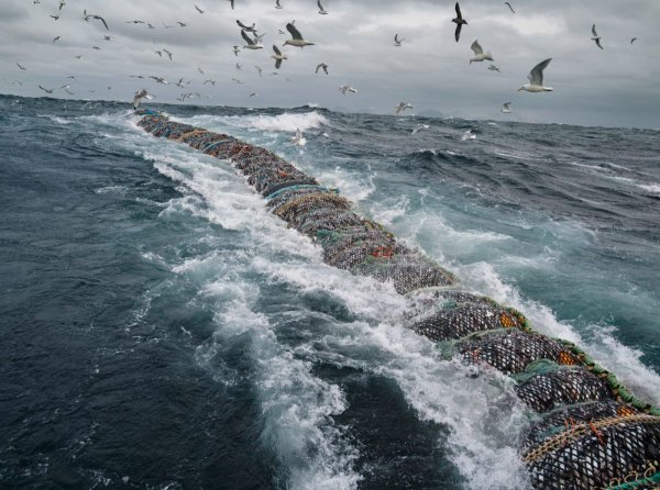 Берингово море Анадырь