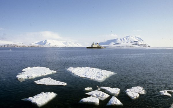 Касатки на Камчатке