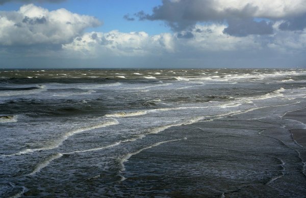 Северное море берег Сконе