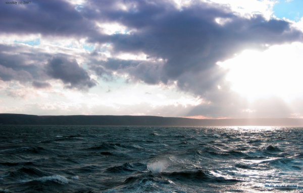 Баркнцево море тереберг