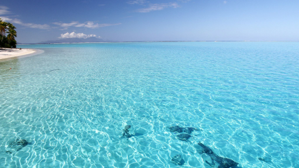 Мальдивы голубая Лагуна