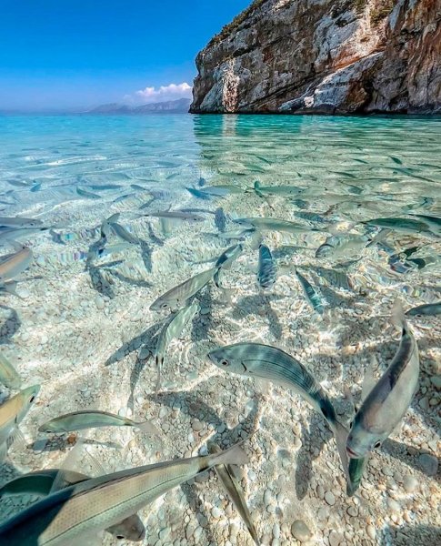 Прозрачное море