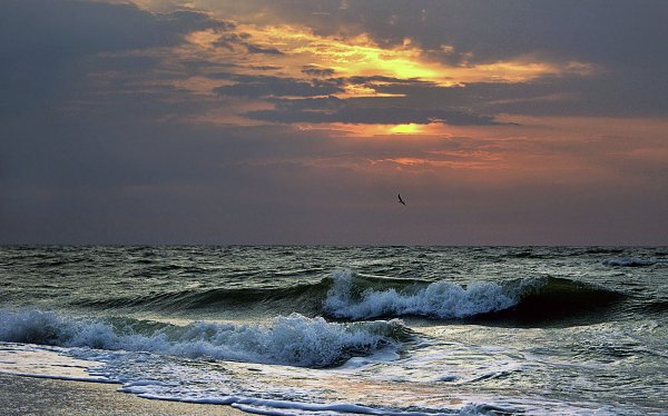 Морской Бриз Азовское море