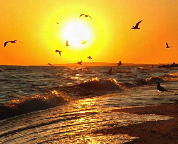 Солнце море Чайки пляж