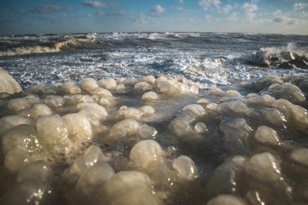 Берег Азовского моря Бердянск