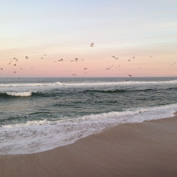 Пляж Эстетика