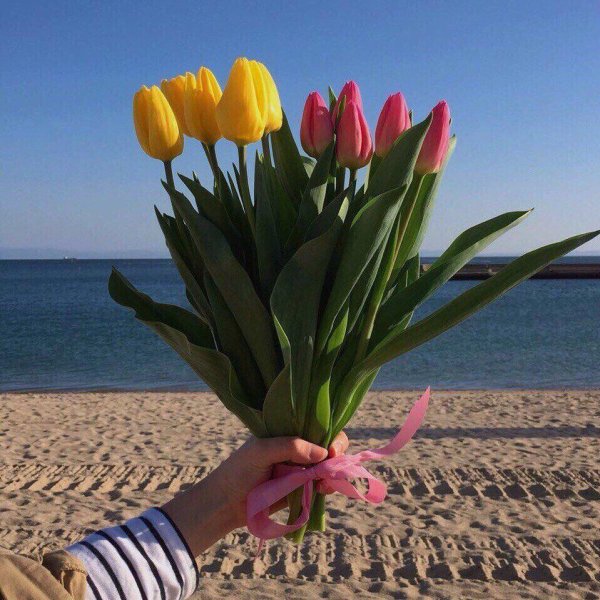 Тюльпаны в природе