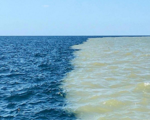 Чёрное море Витязево волны