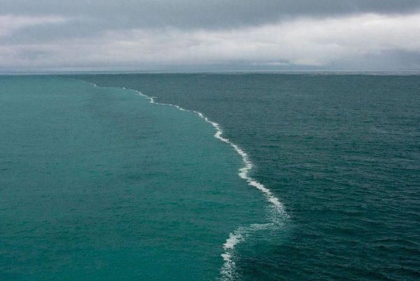 Друзья на закате