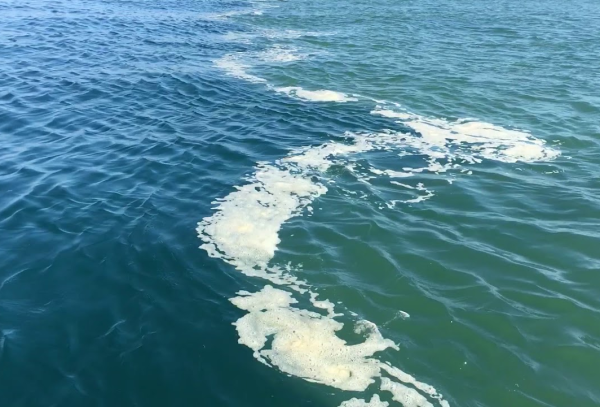 Силуэт на берегу моря