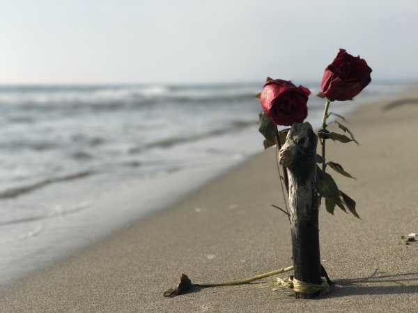 Букет на берегу моря