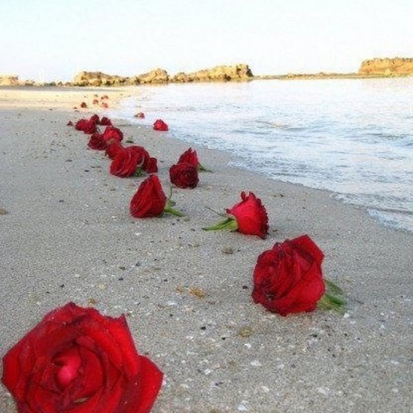 Букет и море