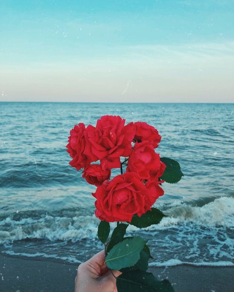 Натюрморт на фоне моря