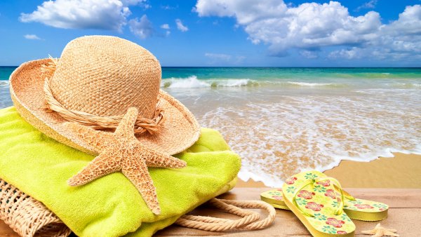 Море пляж ракушки