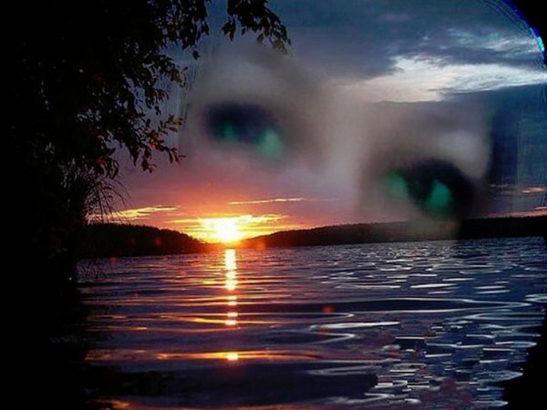 Утонуть в глазах как в море