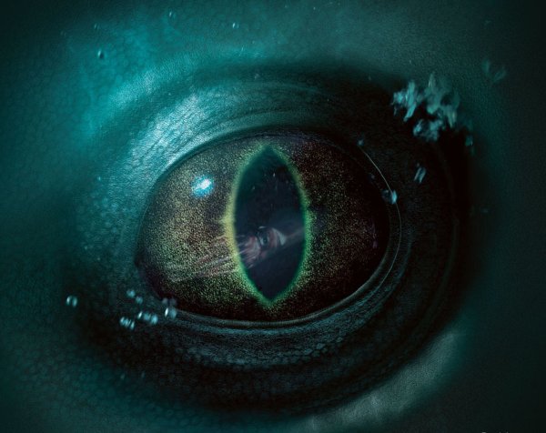 Глаза под водой