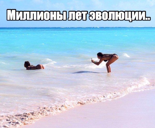 Смешные люди на пляже