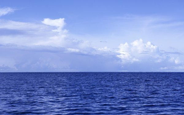 Море Горизонт