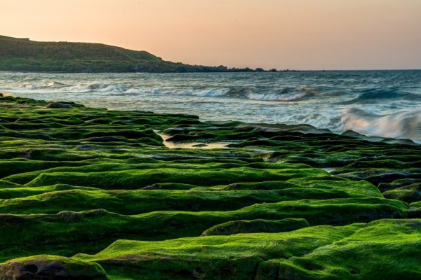 На море и на суше