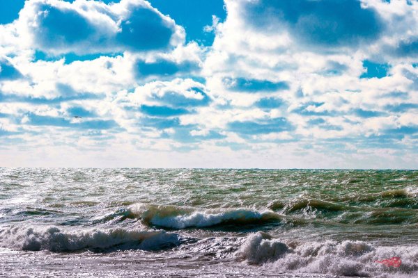 Русское море логотип