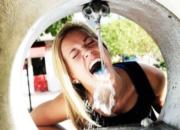 Конча без фона