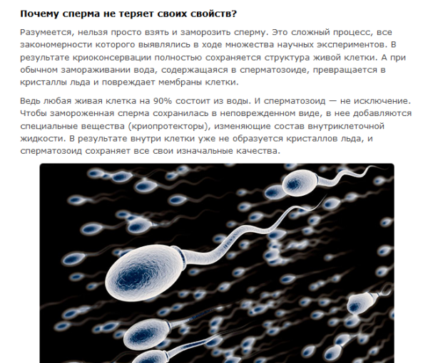 Сперми разными животные